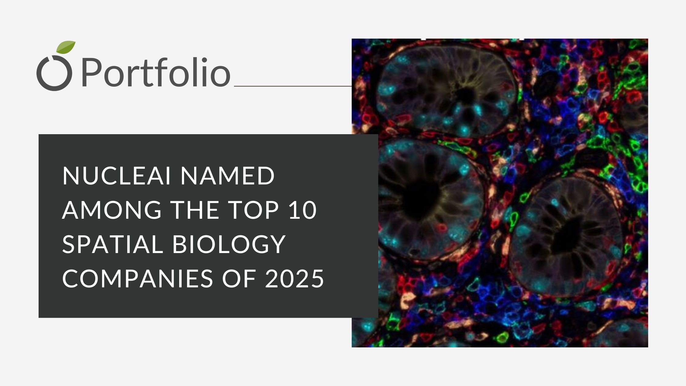 Nucleai spatial biology 2025