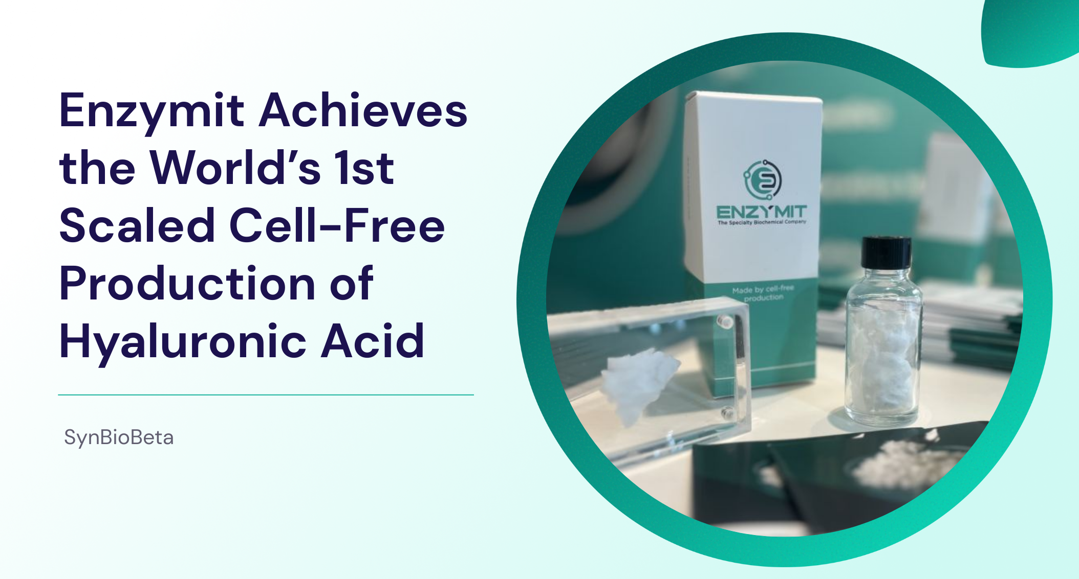 hyaluronic acid production